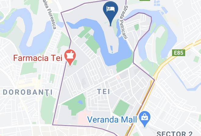 Bucharest - Complex Silva Maps