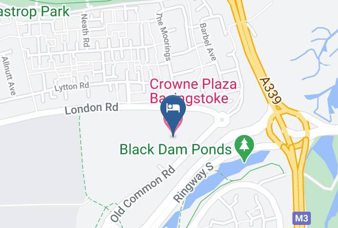 Hants - Crowne Plaza Basingstoke Maps