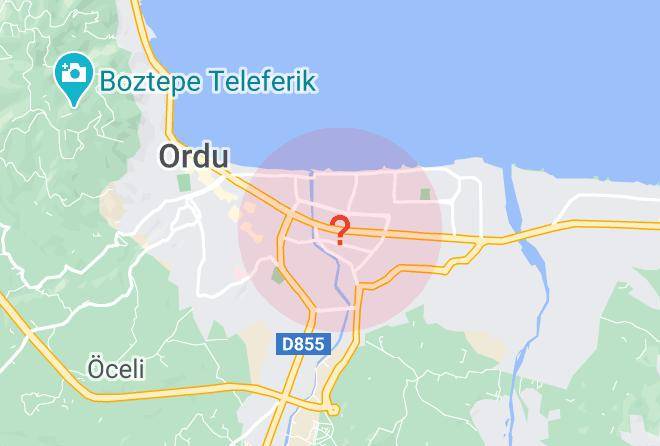 Altinordu - Ctiy Baliktasi Restaurant Maps