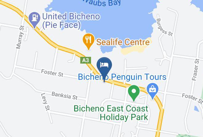 Glamorganspring Bay - Delmare's Caffe & Bar Beachfront At Bicheno Maps