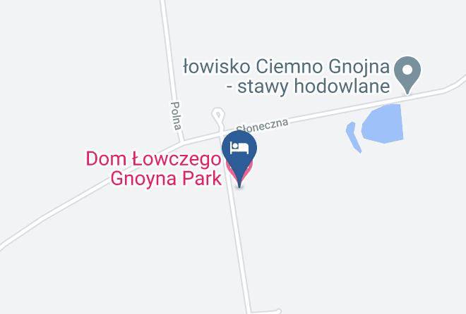 Zyrardowski - Dom Lowczego Gnoyna Park Maps