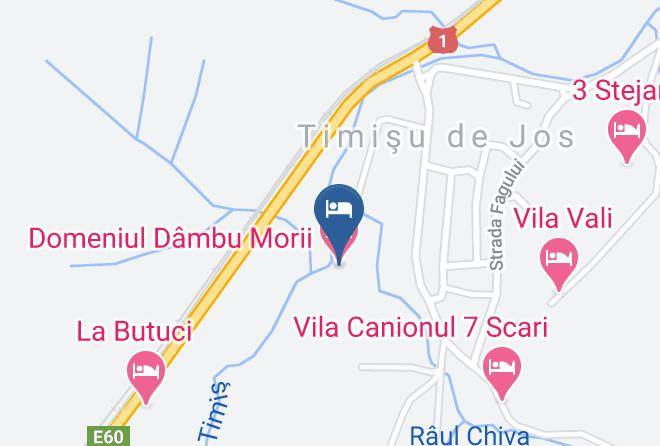 Sacele - Domeniul Dambu Morii Maps