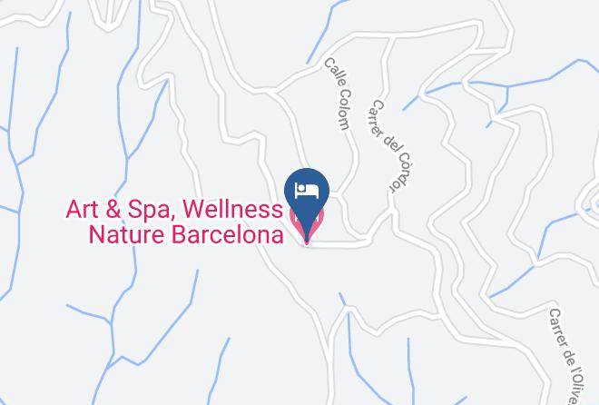 Barcelona - Domo Geodesico Ecoart Maps