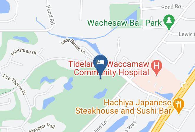 Ellington At Wachesaw Plantation East Map