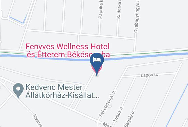 Bekescsaba - Fenyves Wellness Hotel Es Etterem Bekescsaba Maps