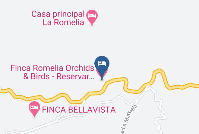 Manizales - Finca Romelia Orchids & Birds Maps
