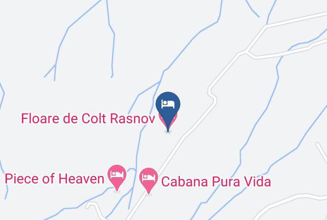 Rasnov - Floare De Colt Rasnov Maps
