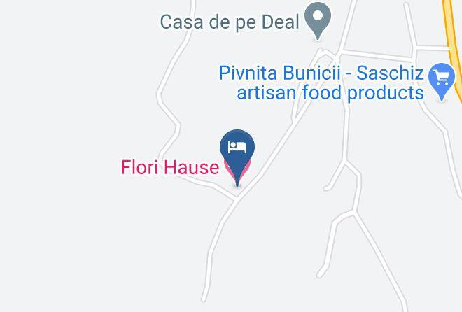 Saschiz - Flori Hause Maps