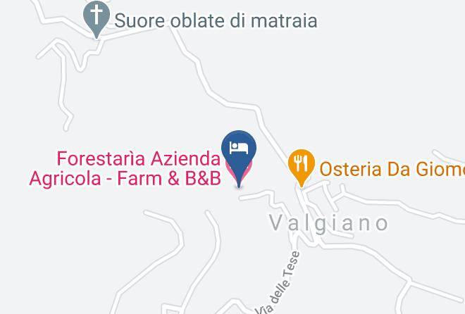Lucca - Forestaria Azienda Agricola Farm & B&b Maps