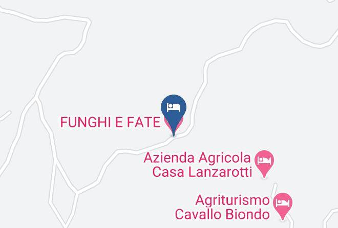 Funghi E Fate Map