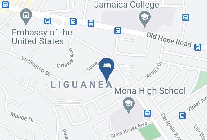 Gardens Of Liganeau Map - Jamaica - Saint Andrew
