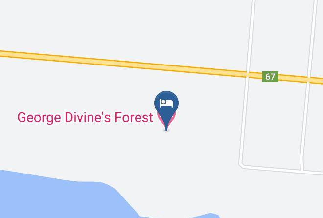 Puan - George Divine's Forest Maps