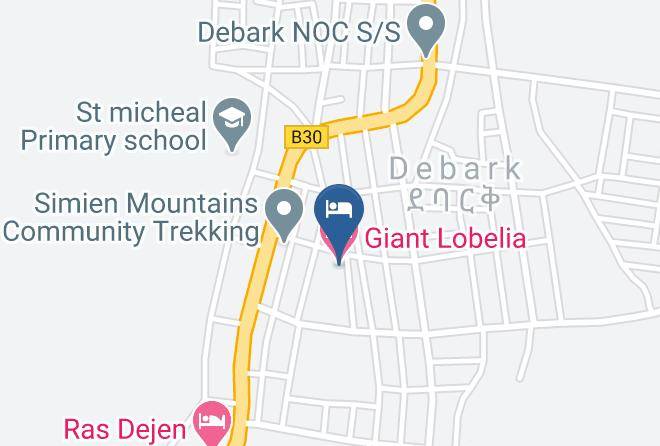Semen - Giant Lobelia Hotel Maps