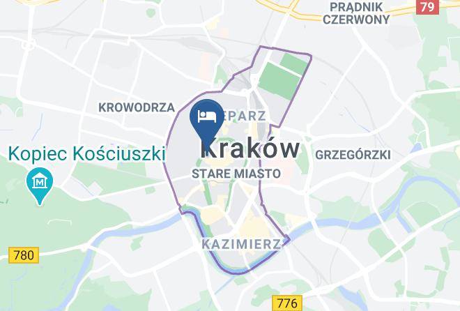 Cracow - Golden Lion Maps