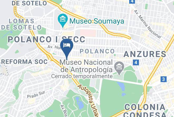 Miguel Hidalgo - Grupo Kings Suites Platon 436 Maps