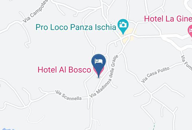 Naples - Hotel Al Bosco Maps
