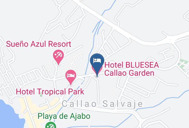 Santa Cruz De Tenerife - Hotel Bluesea Callao Garden Maps