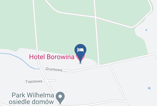 Piaseczynski - Hotel Borowina Maps
