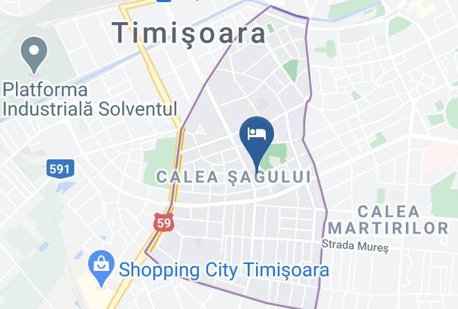 Timisoara - Hotel Delpack Maps