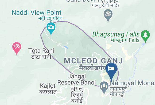 Dharmsala - Hotel Freedom Palace Maps