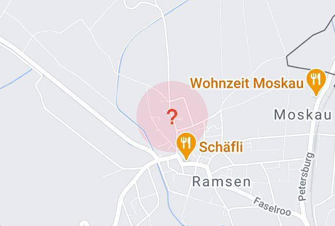 Stein - Hotel Hirschen Ramsen Maps