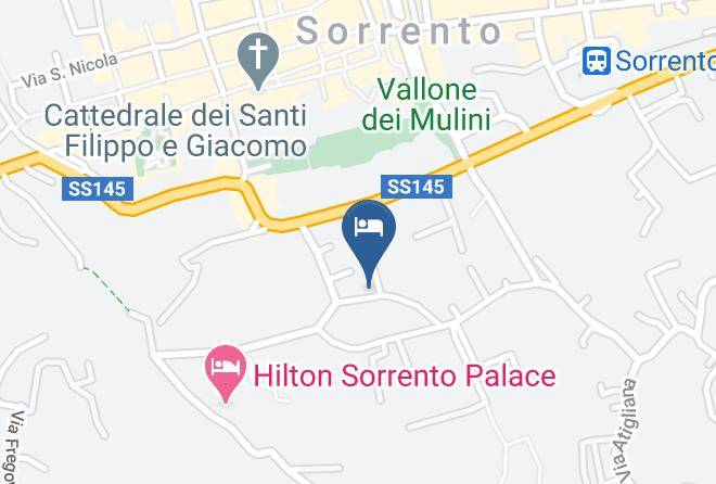 Naples - Hotel Leone Maps