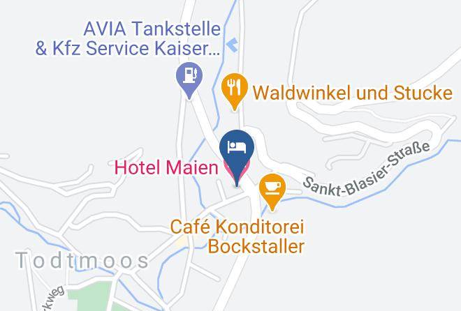 Waldshut - Hotel Maien Maps