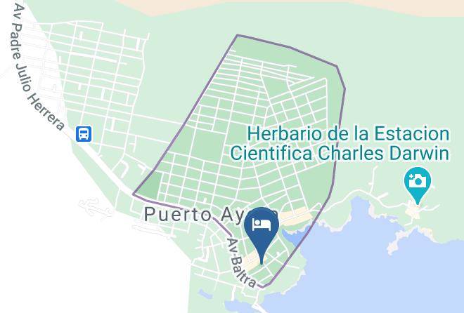 Santa Cruz - Hotel Palmeras Maps