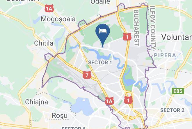 Bucharest - Hotel Papion Maps
