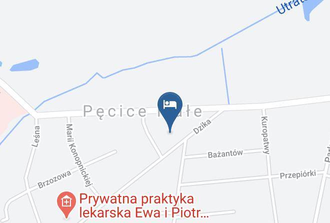 Pruszkowski - Hotel Walinor Maps