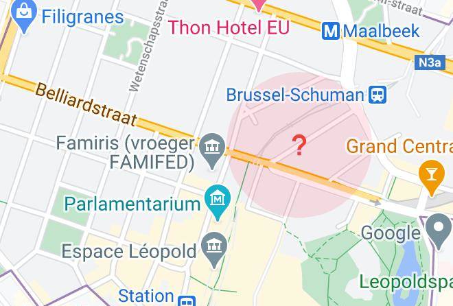 Brussels - Ines Pires Gallery Maps