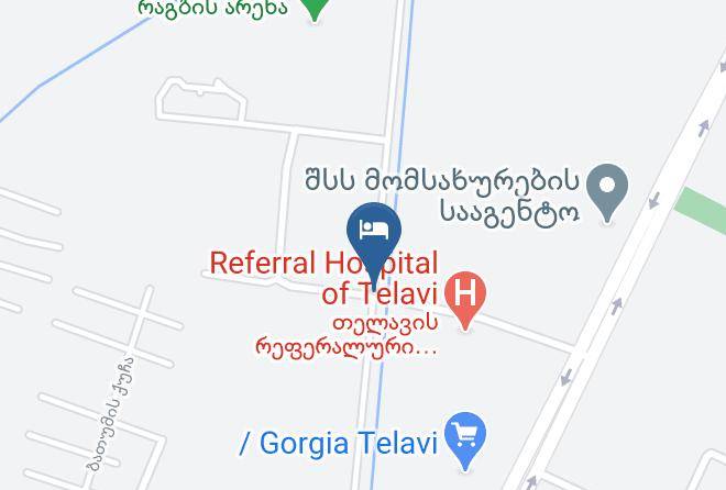 Telavi - Kavkasioni 33 Maps