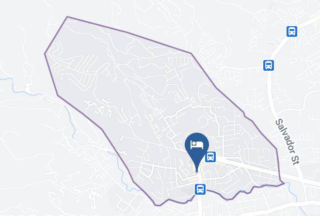 Cebu - Kiwi South Maps