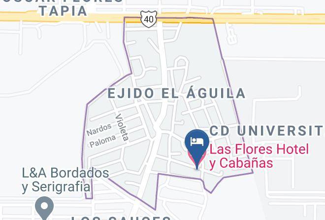 Torreon - Las Flores Hotel Y Cabanas Maps