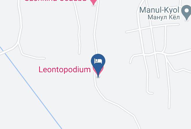 Turochaksky District - Leontopodium Maps