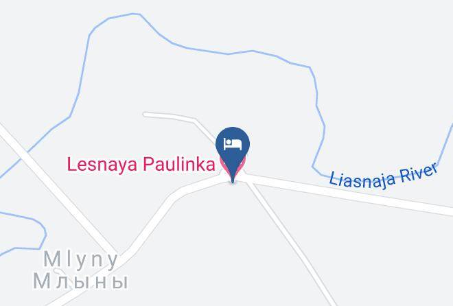 Kamenets District - Lesnaya Paulinka Maps