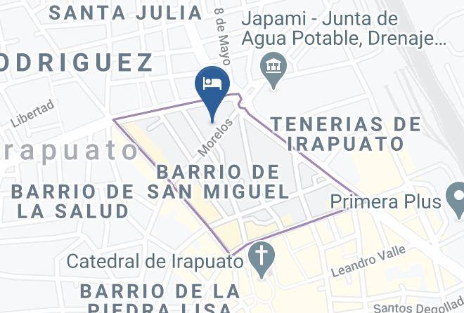 Irapuato - Metropolitan Maps