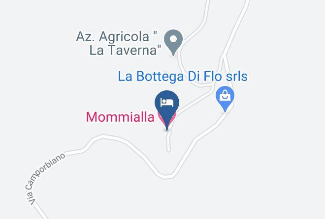 Florence - Mommialla Maps
