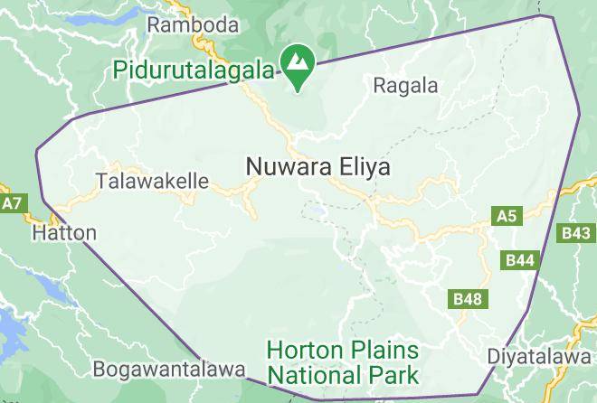 Kandy - Mount Crest Bungalow Maps