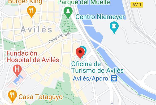 Asturias - Niemeyer Flats Maps