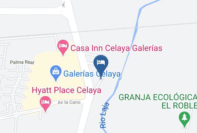 Celaya - Noktos Celaya Galerias Maps
