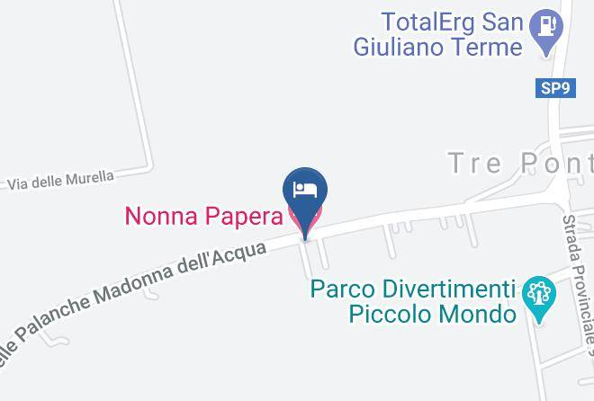 Pisa - Nonna Papera Maps