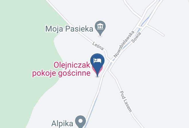 Dzierzoniowski - Olejniczak Pokoje Goscinne Maps