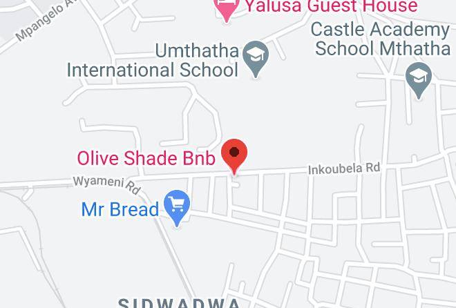Tambo - Olive Shade Bnb Maps