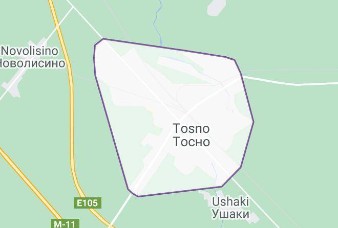 Tosnensky District - Ooo Otel' Tosno Maps