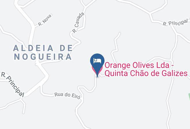 Oliveira Do Hospital - Orange Olives Lda Quinta Chao De Galizes Maps