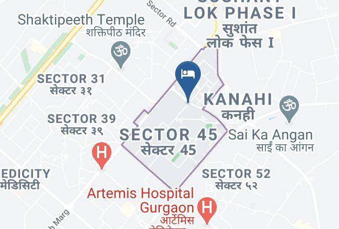 Gurgaon - Pacific Inn Eco Central Sec 45 Maps