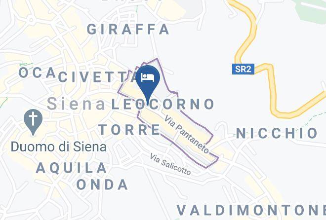 Siena - Palazzo Petroni Maps