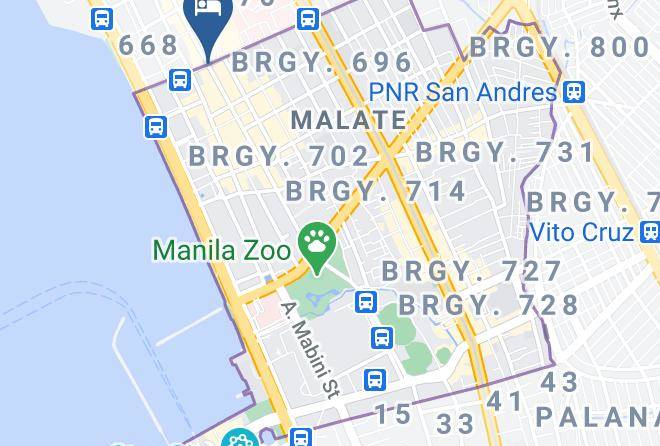 Metro Manila - Palm Grove Hotel Manila Maps