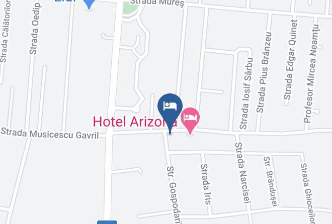 Timisoara - Pension Donna Ana Maps